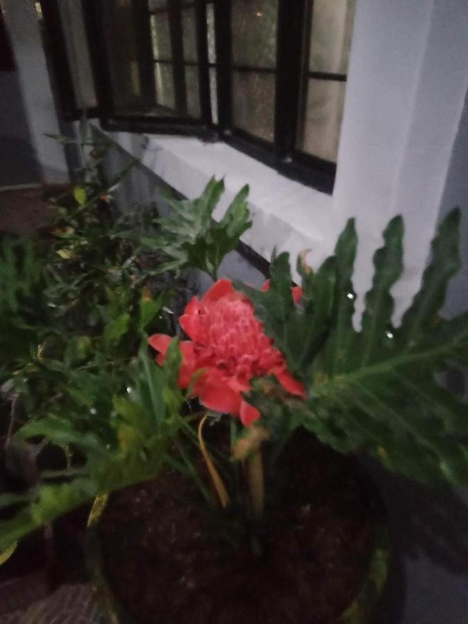 טקלובן Viner'S Inn מראה חיצוני תמונה